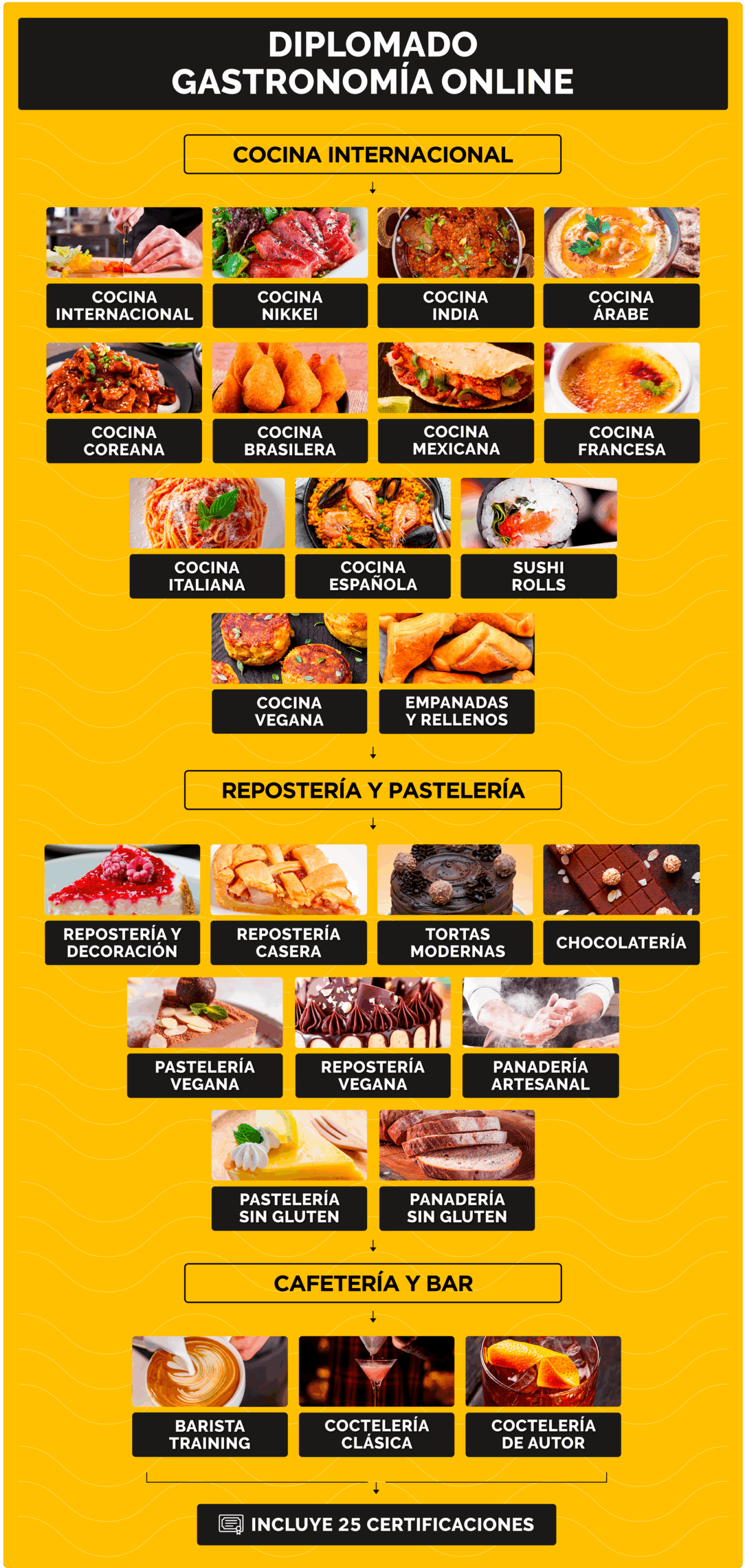Malla 25 cursos